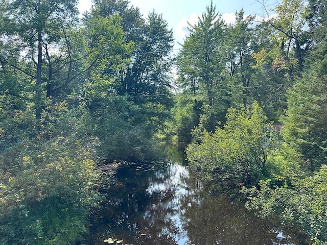 5ACRES N Black River Rd, Cheboygan, MI 49721 - photo 2