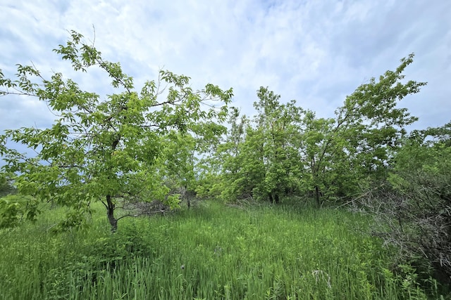 12551 Freel Hwy, Millersburg, MI 49759 - photo 8