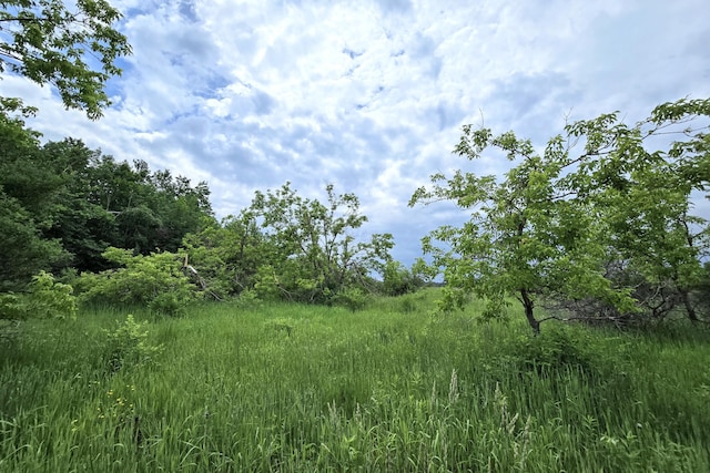 12551 Freel Hwy, Millersburg, MI 49759 - photo 3