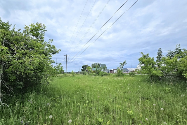 12551 Freel Hwy, Millersburg, MI 49759 - photo 9