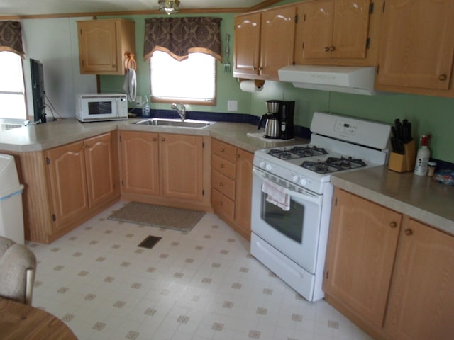 7323 M-68/33 Hwy, Onaway, MI 49765 - photo 13