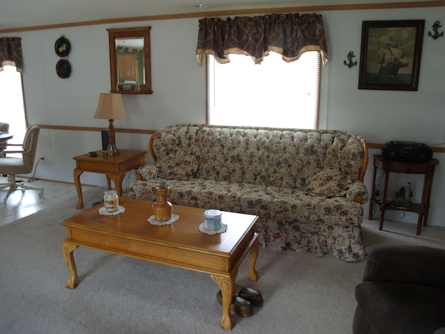 7323 M-68/33 Hwy, Onaway, MI 49765 - photo 19