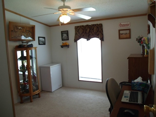 7323 M-68/33 Hwy, Onaway, MI 49765 - photo 35