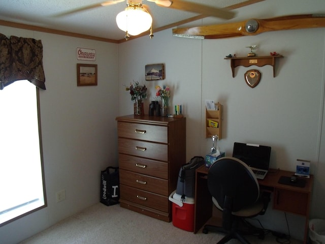 7323 M-68/33 Hwy, Onaway, MI 49765 - photo 36
