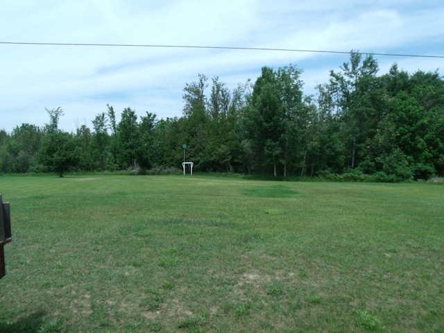 7323 M-68/33 Hwy, Onaway, MI 49765 - photo 43
