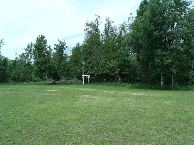 7323 M-68/33 Hwy, Onaway, MI 49765 - photo 44