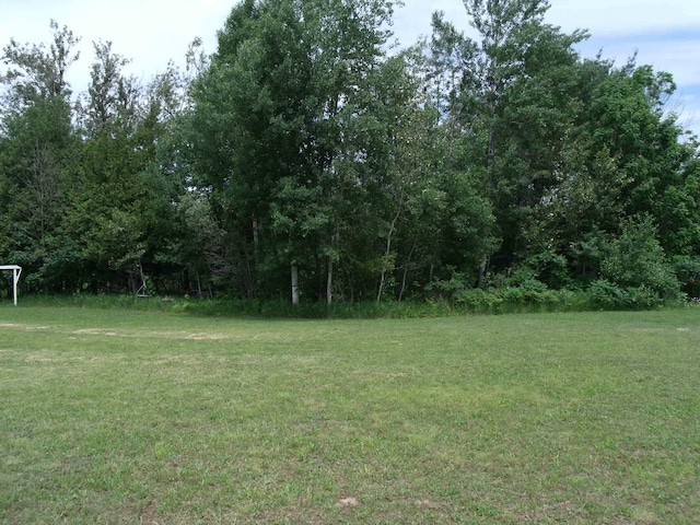 7323 M-68/33 Hwy, Onaway, MI 49765 - photo 45