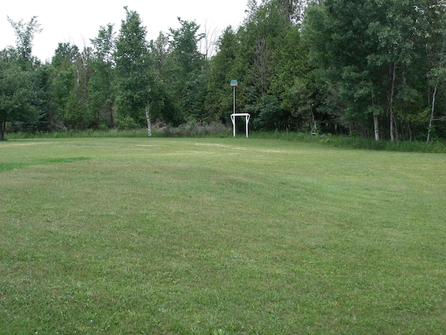 7323 M-68/33 Hwy, Onaway, MI 49765 - photo 49
