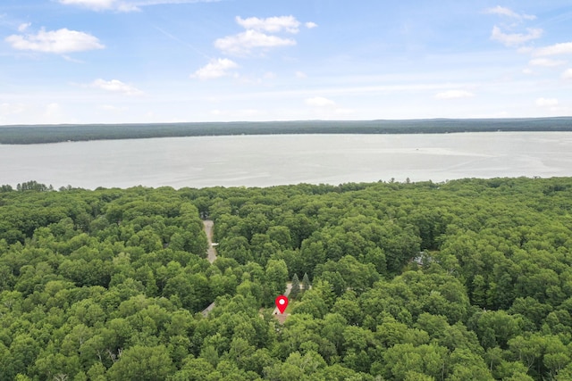 7839 Lang St, Roscommon, MI 48653 - photo 3