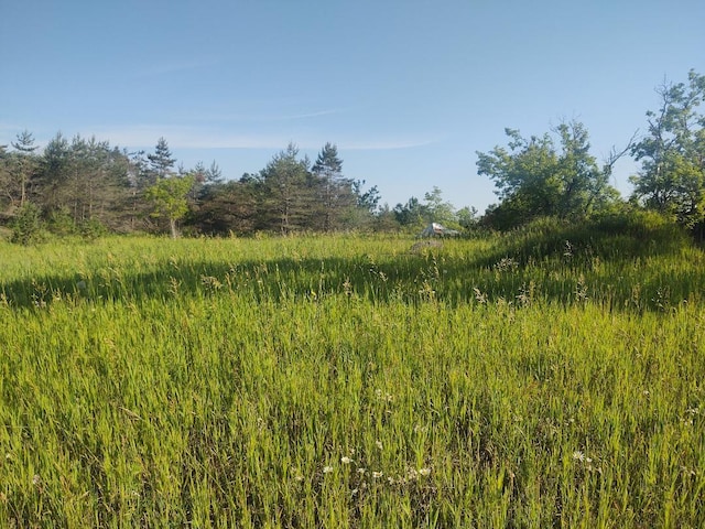 12546 Orcutt Hwy, Millersburg, MI 49759 - photo 4