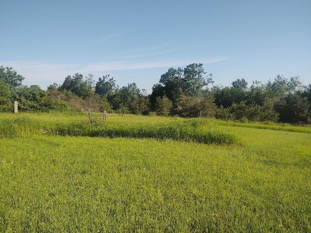 12546 Orcutt Hwy, Millersburg, MI 49759 - photo 5