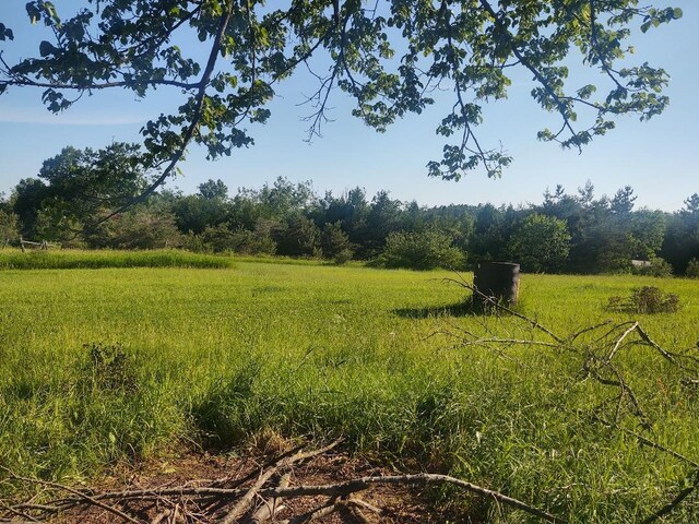 12546 Orcutt Hwy, Millersburg, MI 49759 - photo 6