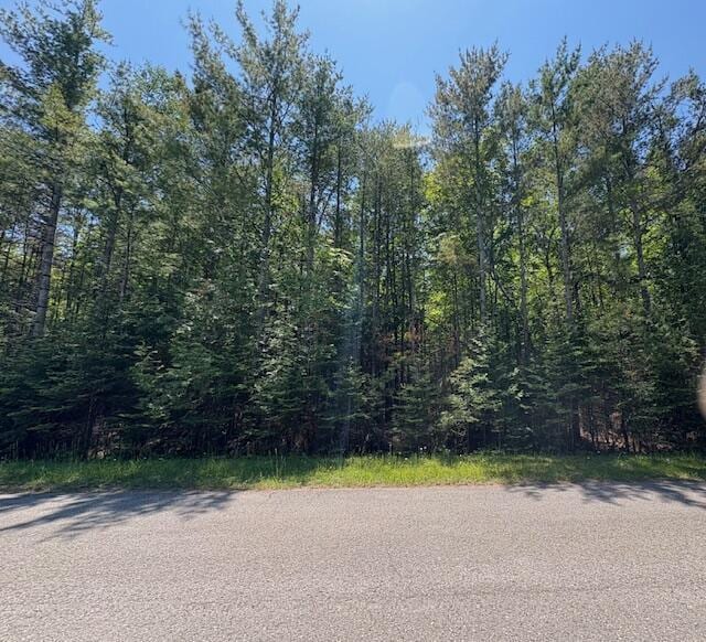 LOT86 E Renwick Cir, Presque Isle, MI 49777 - photo 5