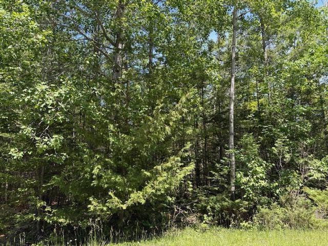 LOT86 E Renwick Cir, Presque Isle, MI 49777 - photo 1