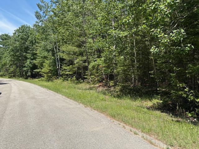 LOT86 E Renwick Cir, Presque Isle, MI 49777 - photo 3