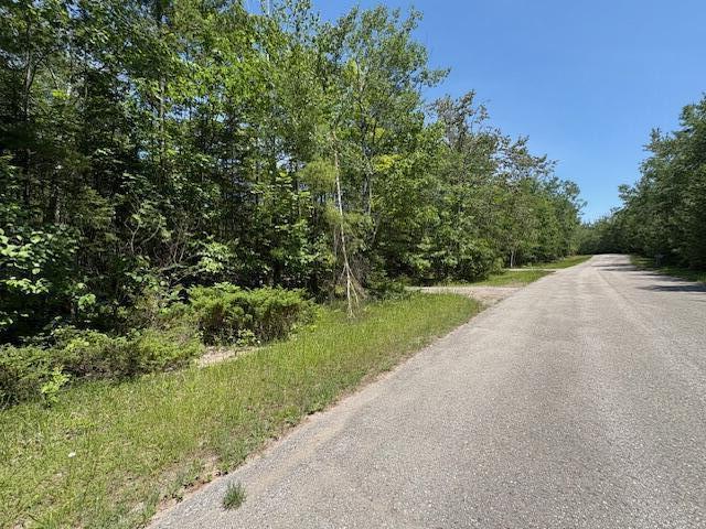 LOT86 E Renwick Cir, Presque Isle, MI 49777 - photo 4