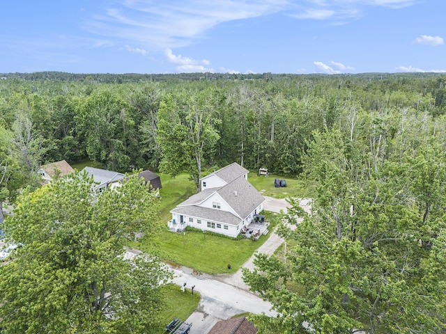 50 W Parkway Dr, Cheboygan, MI 49721 - photo 38