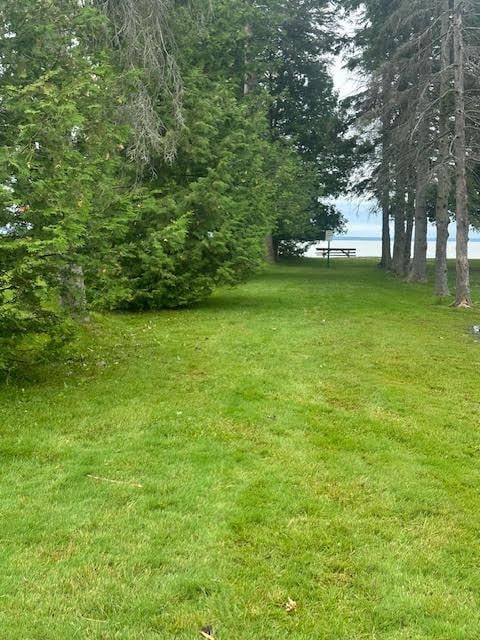 50 W Parkway Dr, Cheboygan, MI 49721 - photo 42