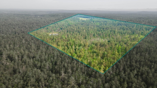 6612 Old Vanderbilt Rd, Vanderbilt, MI 49795 - aerial view of property's location featuring a forest and property parcel outlined