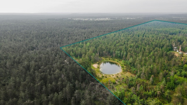 6612 Old Vanderbilt Rd, Vanderbilt, MI 49795 - view of property location with a forest and property boundaries highlighted