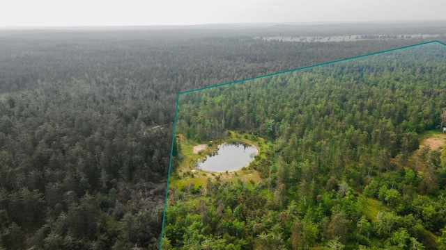 6612 Old Vanderbilt Rd, Vanderbilt, MI 49795 - aerial view of property's location with a forest and property boundaries highlighted