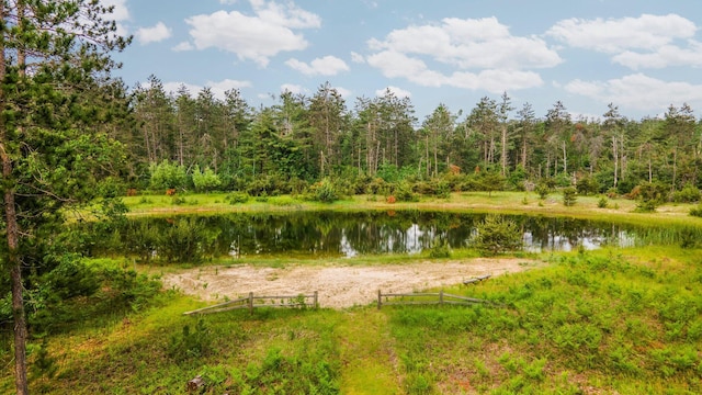 6612 Old Vanderbilt Rd, Vanderbilt, MI 49795 - water view with a heavily wooded area
