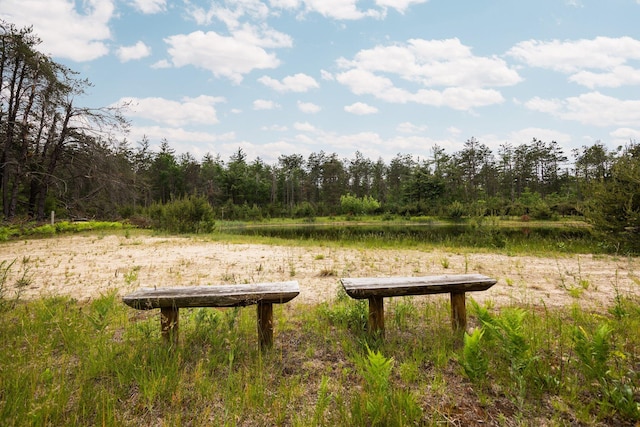 6612 Old Vanderbilt Rd, Vanderbilt, MI 49795 - surrounding community featuring a view of trees