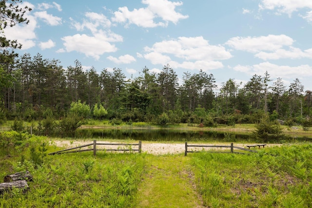 6612 Old Vanderbilt Rd, Vanderbilt, MI 49795 - view of yard with a water view and a forest view