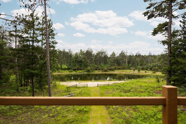 6612 Old Vanderbilt Rd, Vanderbilt, MI 49795 - view of yard with a water view and a view of trees