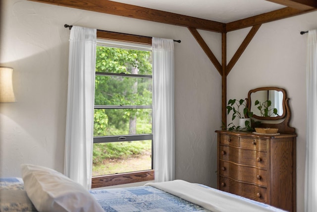 6612 Old Vanderbilt Rd, Vanderbilt, MI 49795 - view of bedroom