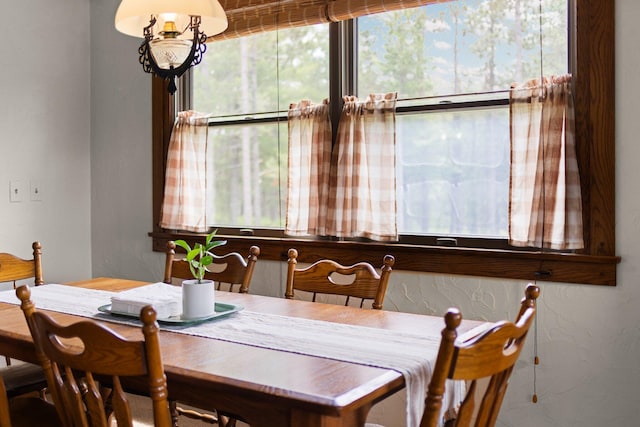 6612 Old Vanderbilt Rd, Vanderbilt, MI 49795 - view of dining area