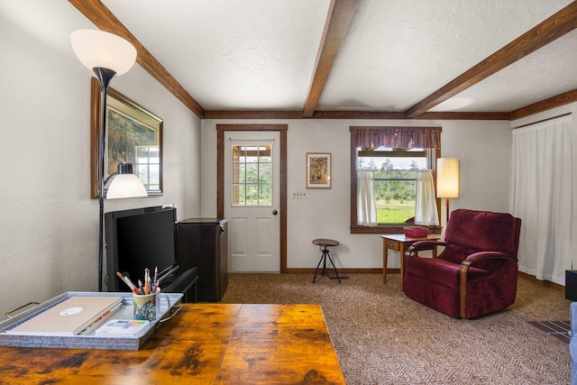 6612 Old Vanderbilt Rd, Vanderbilt, MI 49795 - carpeted living room with beamed ceiling and baseboards