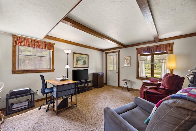 6612 Old Vanderbilt Rd, Vanderbilt, MI 49795 - carpeted living area with a textured ceiling, beam ceiling, and an office area