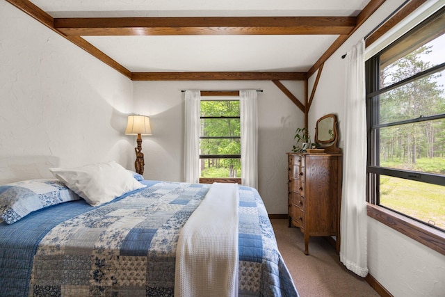 6612 Old Vanderbilt Rd, Vanderbilt, MI 49795 - bedroom with carpet flooring and beam ceiling