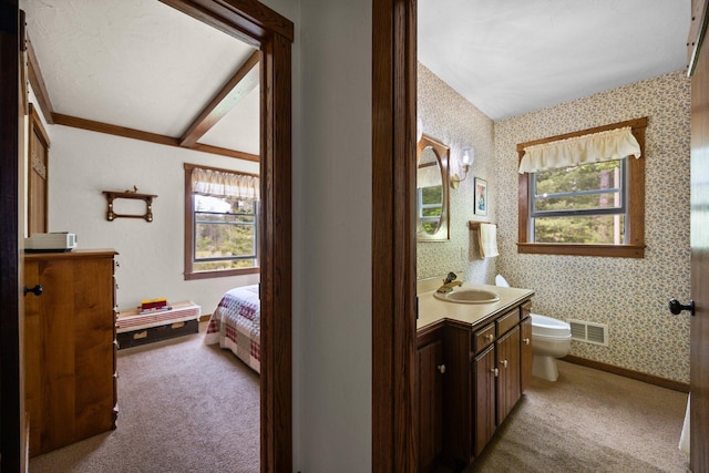 6612 Old Vanderbilt Rd, Vanderbilt, MI 49795 - bathroom with vanity, healthy amount of natural light, wallpapered walls, and ensuite bath