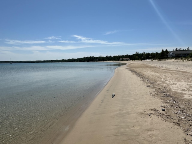 6081 Bonita Dr, Presque Isle, MI 49777 - photo 6
