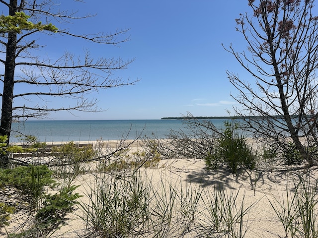 6081 Bonita Dr, Presque Isle, MI 49777 - photo 7