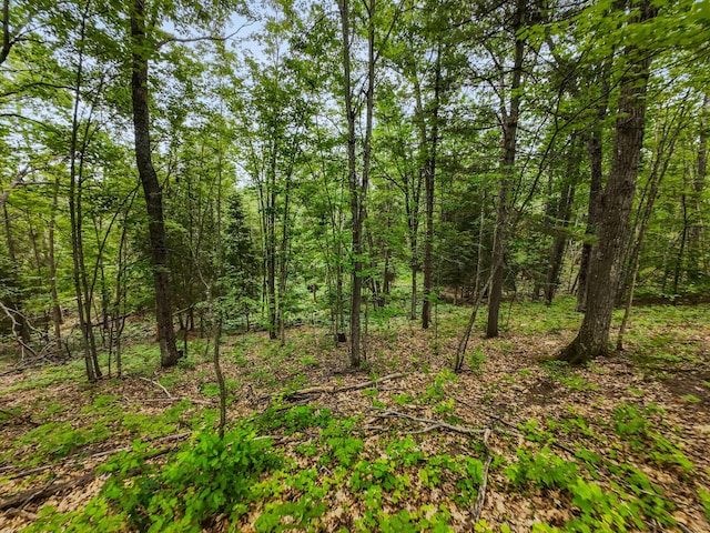 6429 S Straits Hwy, Indian River, MI 49749 - photo 52