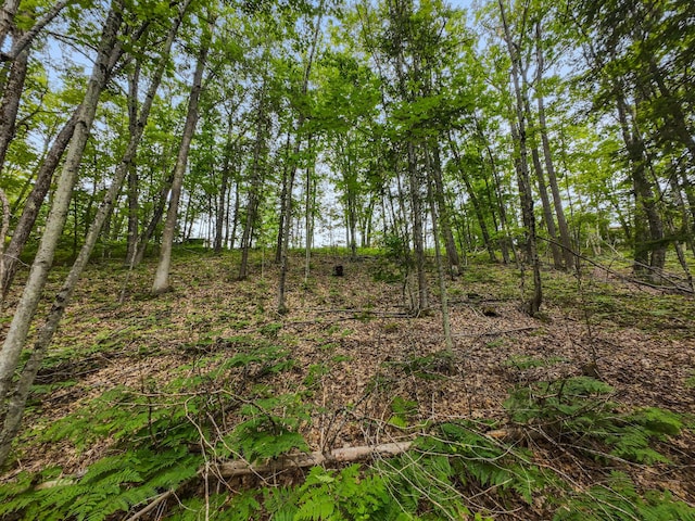 6429 S Straits Hwy, Indian River, MI 49749 - photo 17