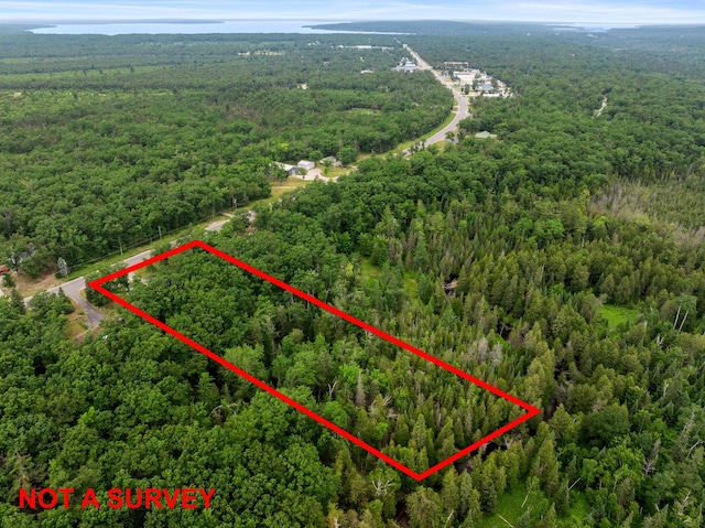 6429 S Straits Hwy, Indian River, MI 49749 - photo 58