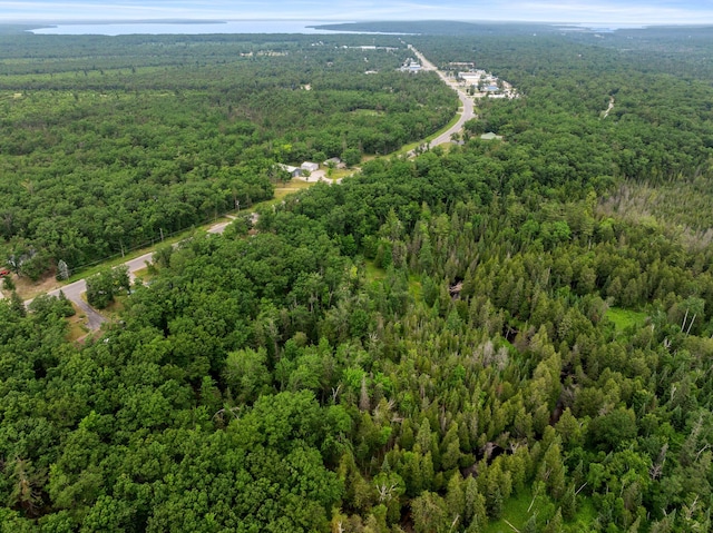 6429 S Straits Hwy, Indian River, MI 49749 - photo 59