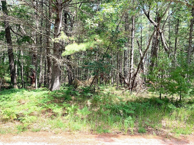 LOT23 W Nestel Rd, Prudenville, MI 48651