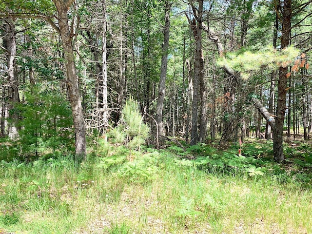 LOT23 W Nestel Rd, Prudenville, MI 48651