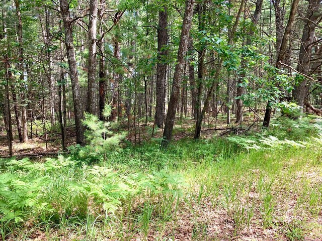 LOT23 W Nestel Rd, Prudenville, MI 48651