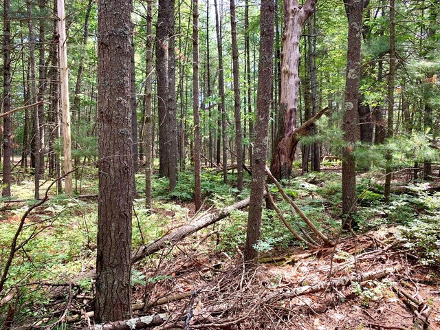 LOT23 W Nestel Rd, Prudenville, MI 48651