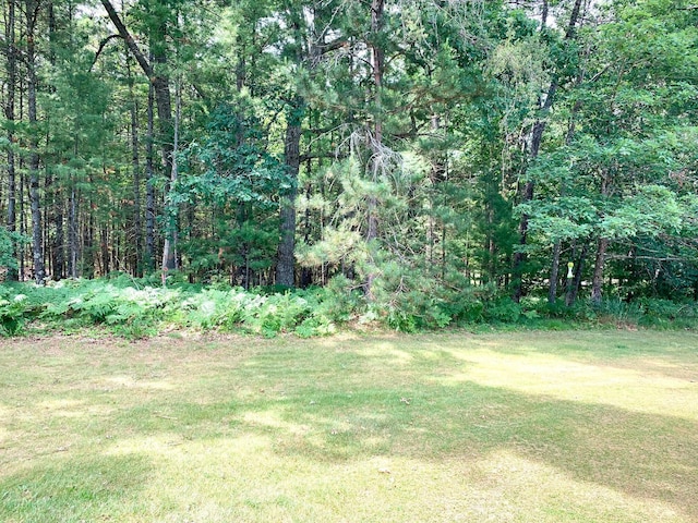 LOT23 W Nestel Rd, Prudenville, MI 48651