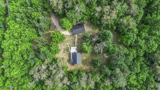 4234 Shooks Rd, Wolverine, MI 49799 - photo 9