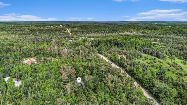 4234 Shooks Rd, Wolverine, MI 49799 - photo 4