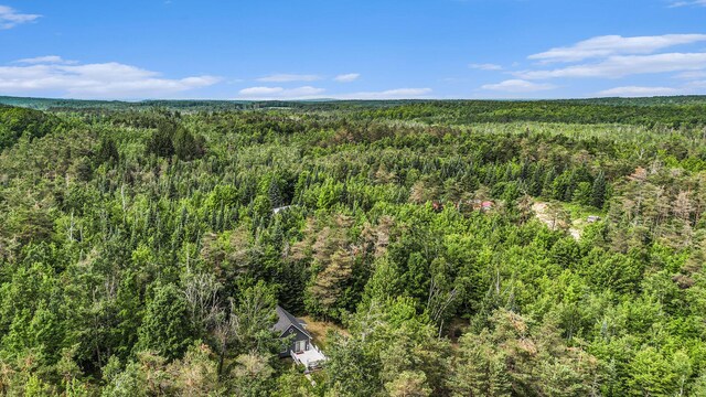 4234 Shooks Rd, Wolverine, MI 49799 - photo 3