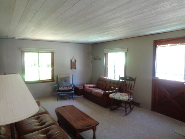 205 Jackson Blvd, Roscommon, MI 48653 - photo 8